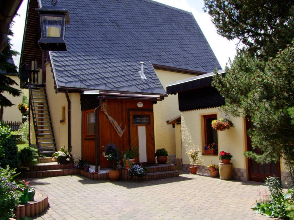 Ferienhaus Erzgebirge "An Der Trebe" Mit Kamin Und Sauna Нойгаузен Номер фото