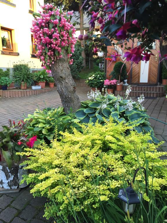 Ferienhaus Erzgebirge "An Der Trebe" Mit Kamin Und Sauna Нойгаузен Екстер'єр фото