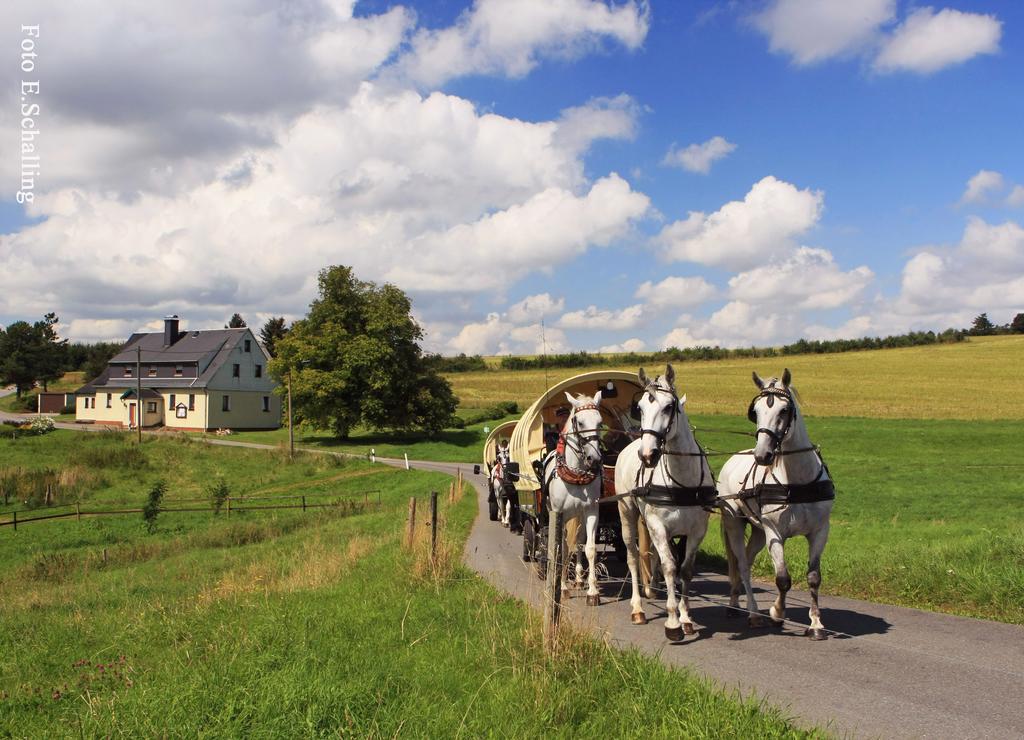 Ferienhaus Erzgebirge "An Der Trebe" Mit Kamin Und Sauna Нойгаузен Екстер'єр фото